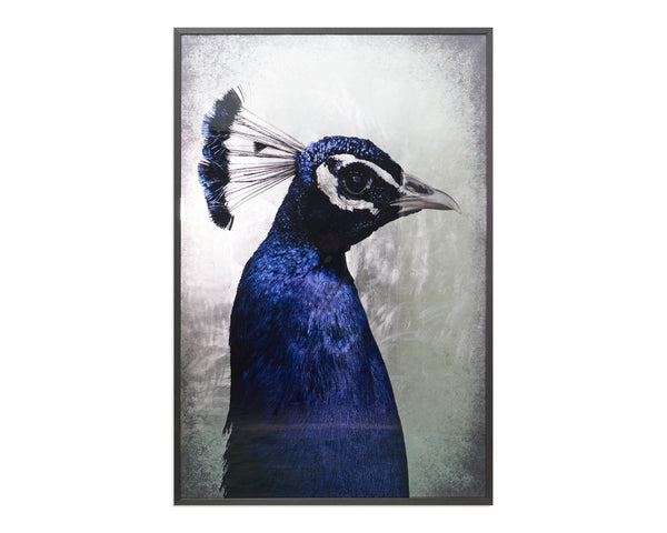 Sunpan THE PEACOCK - Luxurious 48" x 72" Artwork in Charcoal Frame - Stunning Metallic & Reflective Design A0262