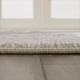 Madison Park Dakota Transitional Tiled Border Area Rug MP35-7556 Beige/Cream