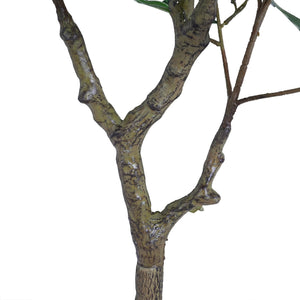 English Elm Christopher Knight Home® - 51" Lifelike Artificial Ficus Tree In Black Pot - Perfect Indoor Décor For Low-Maintenance Elegance N772P286769G