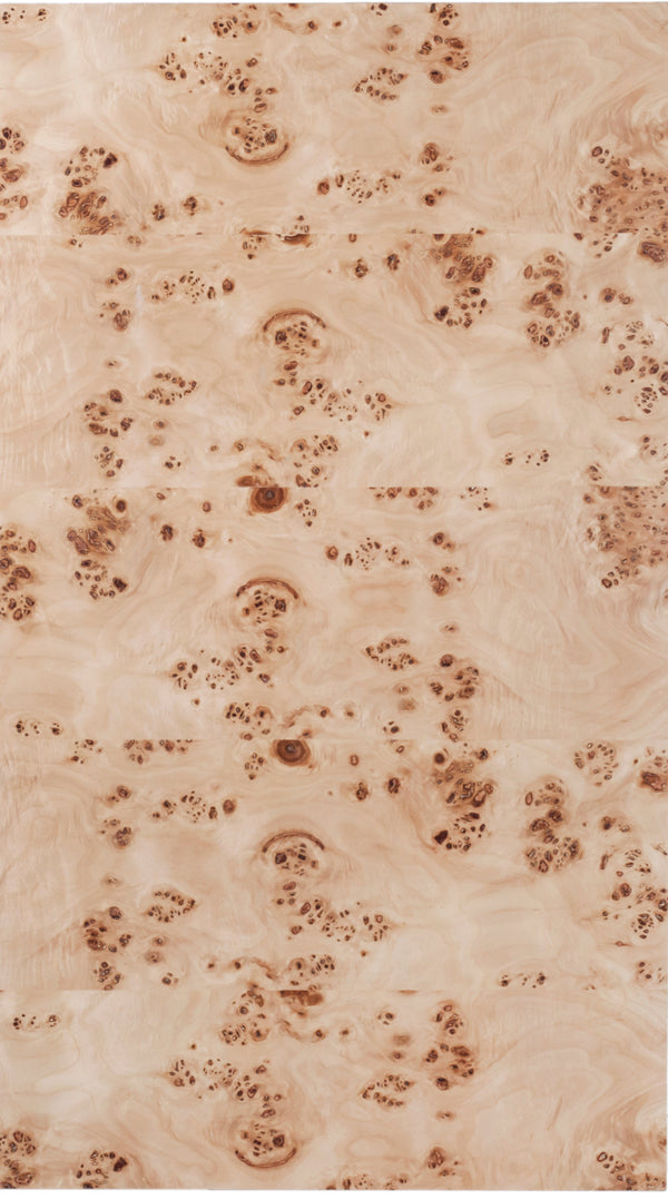 Otto Natural Coffee Table 99015Burl-CT Meridian Furniture