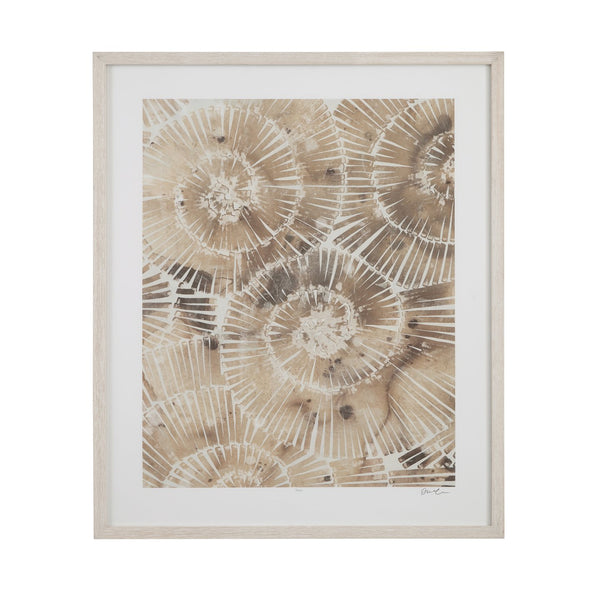 Basset Mirror Fossil Limited Edition Nautilus Framed Print On Fine Art Cotton Rag Paper With Rustic Barnwood Frame Brown Wood Frame,Clear Glass 9902-280a