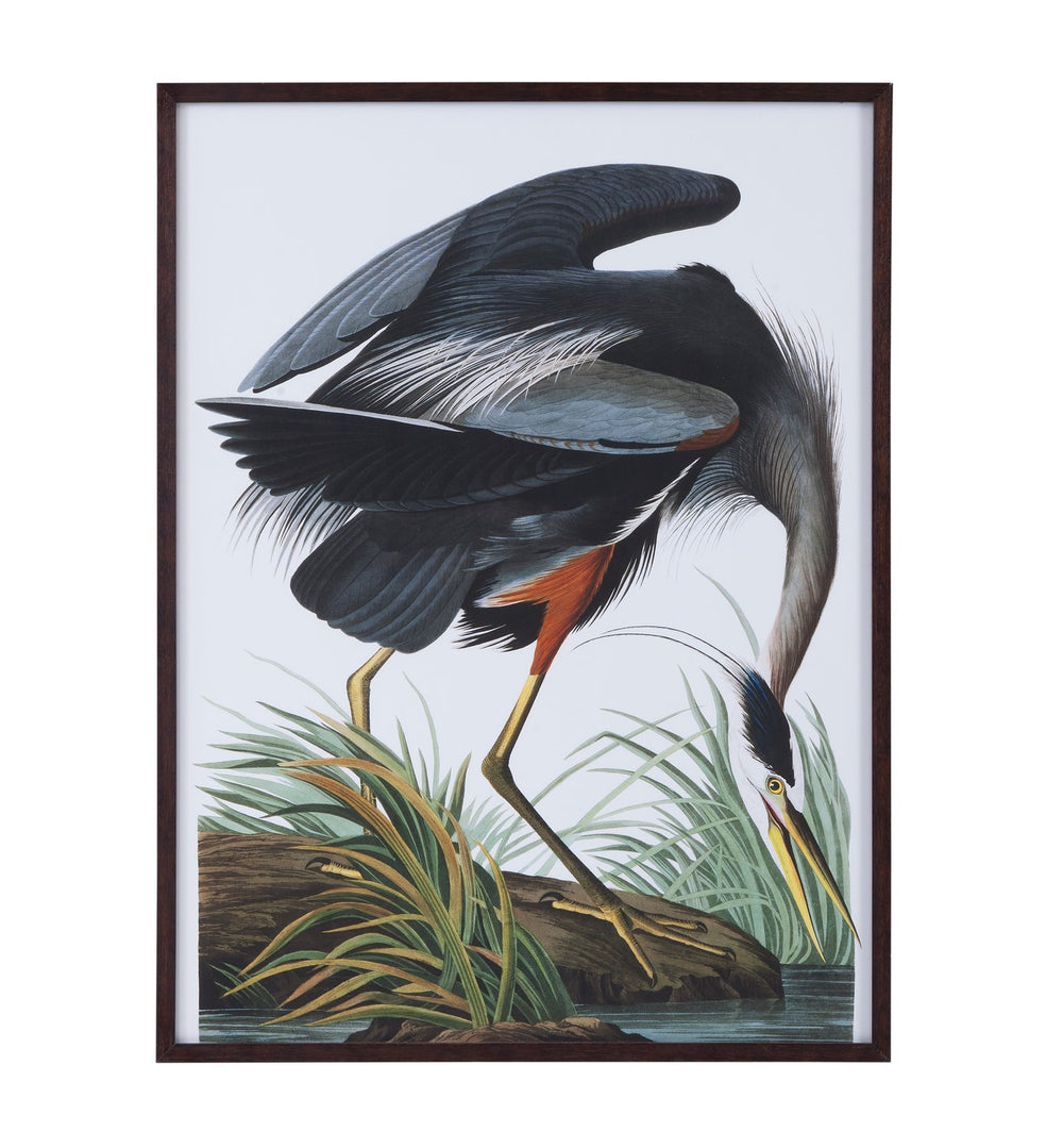 Basset Mirror Audubon Great Blue Heron Framed Print - Stunning Wildlife Art In Dark Walnut Frame For Home Decor Gray Wood Frame,Clear Glass 9902-281