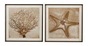 Basset Mirror Neutral Seafan & Starfish Framed Print Set Of 2 - Elegant Coastal Decor In Matte White Molding Tan Wood 9902-329-000