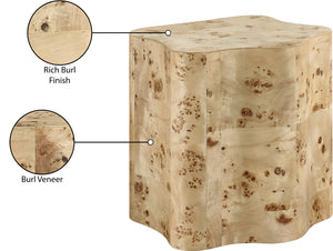 Zaire Burl End Table 99067Burl-ET Meridian Furniture