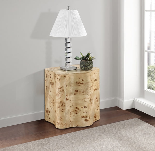 Zaire Burl End Table 99067Burl-ET Meridian Furniture