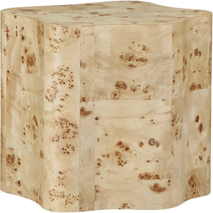 Zaire Burl End Table 99067Burl-ET Meridian Furniture