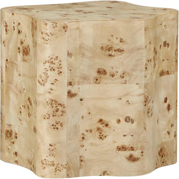 Zaire Burl End Table 99067Burl-ET Meridian Furniture