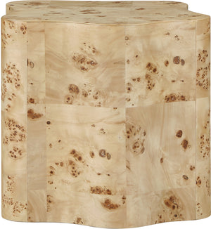 Zaire Burl End Table 99067Burl-ET Meridian Furniture