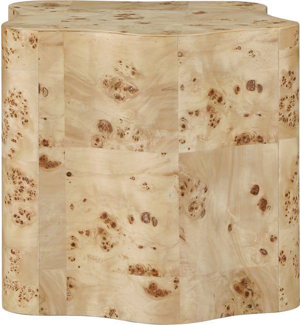 Zaire Burl End Table 99067Burl-ET Meridian Furniture