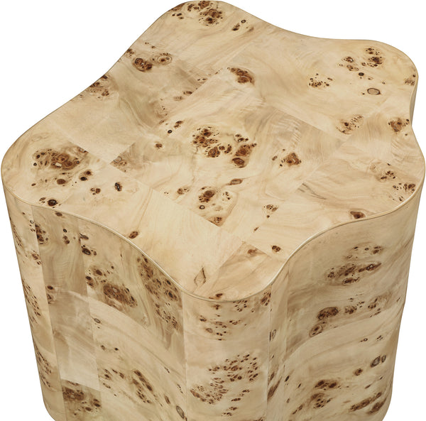 Zaire Burl End Table 99067Burl-ET Meridian Furniture