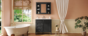 English Elm 36'' Modern Bathroom Vanity Set With Mirror, 2 Drawers, Tip-Out Storage & 6 Open Shelves For Organization N710S236006B