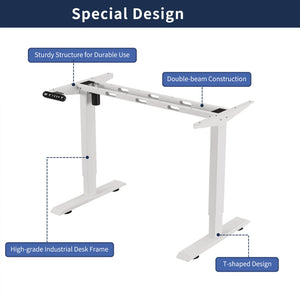 English Elm 55"×24" Electric Sit Stand Desk Steel Frame with Memory Presets and Usb-c Charging Port White W614P376324