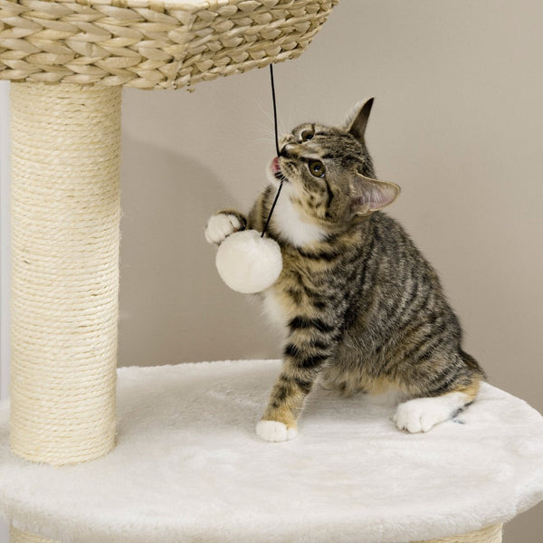 English Elm Pawhut Multi-level Indoor Cat Tree with Sisal Posts Condo Hammock and Hanging Toy W2225P217053