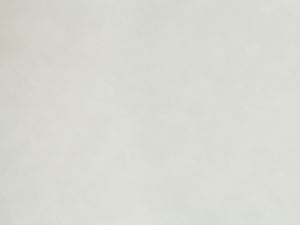 English Elm Gaines White Synthetic Leather Side Chair Set of 2 — Plush High‑Density Foam, Chrome Legs, Scratch‑Resistant Pads B2726P250495