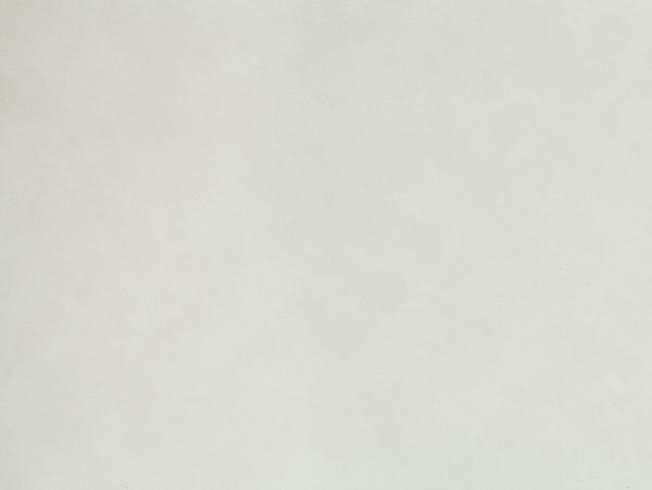 English Elm Gaines White Synthetic Leather Side Chair Set of 2 — Plush High‑Density Foam, Chrome Legs, Scratch‑Resistant Pads B2726P250495