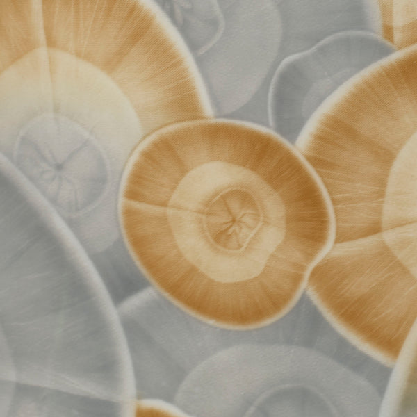 Jamie Young Co. Serene Ceramic Table Lamp With Raffia Shade Blue Ceramic 9serenetlbl