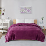 Intelligent Design Microlight Plush Casual Oversized Blanket ID51-1089 Purple