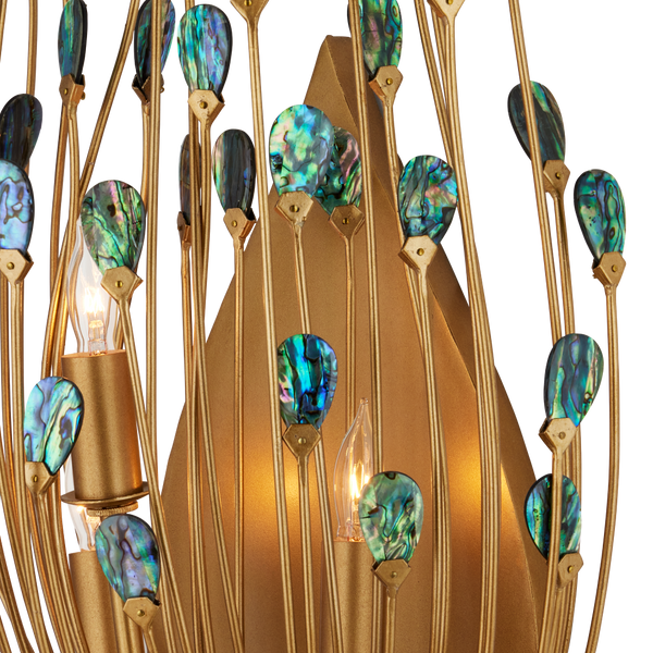 Delphos Teardrop Wall Sconce - Nature-Inspired Gold Fixture with Iridescent New Zealand Paua Shells