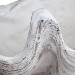 Crestview Collection Henley Shell Sculpture - Elegant Crestview Decorative Accent For Coastal-inspired Home Décor   Cvdzep049