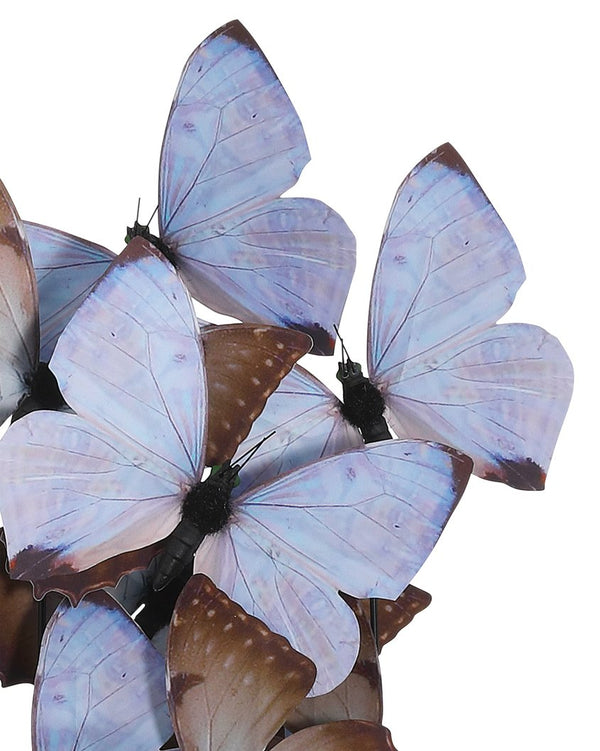 Currey & Company Rue De Bac Enchanting Medium Butterflies In Soft Blue & Pink - Elegantly Displayed Glass Dome Decor Blue Paper ,Engineered Wood ,Glass 1200-0976-currey-company