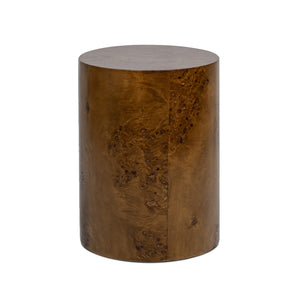 English Elm Jennifer Taylor Home - Nebula 20" Oval Accent Side Table - Medium Brown Walnut Burl Wood For Elegant Living Spaces B2719P292913