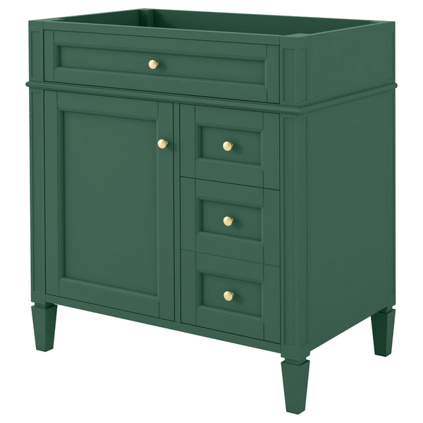 English Elm 30'' Modern Bathroom Vanity Cabinet With 2 Drawers, Tip-Out Storage & Adjustable Shelf – No Basin N710P250685F