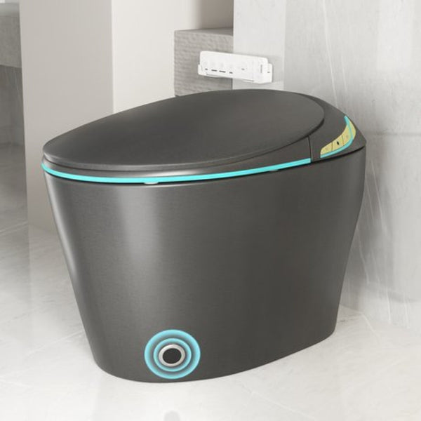 English Elm Unique Smart One Piece Toilet with Bidet Foot Sensor Auto Lid Warm Dryer Night Light W3133P384914