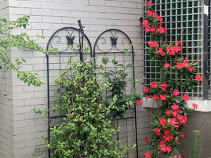 English Elm Metal Garden Trellis Set – 2 Durable Trellises For Climbing Plants, Flowers & Veggies, Easy Install W840P321535