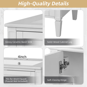 English Elm 24" Bathroom Vanity with Ceramic Basin, French-Inspired Accent Carvings, Soft-Close Doors & Storage White N710P293309K