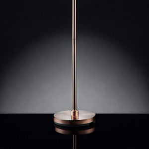 English Elm 62" Tall Floor Lamp "Rosie" - Glamorous Silvery-Pink Finish With Crystal Accents For Elegant Lighting B072116220