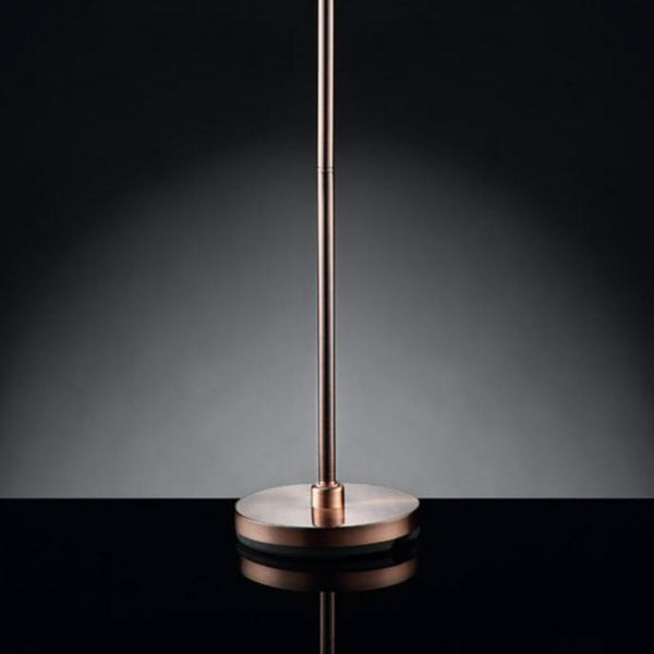 English Elm 62" Tall Floor Lamp "Rosie" - Glamorous Silvery-Pink Finish With Crystal Accents For Elegant Lighting B072116220