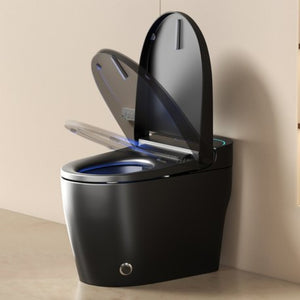 English Elm Unique Intelligent One Piece Toilet with Bidet Warm Air Dryer and Auto Sensor Seat Black W3133P476381