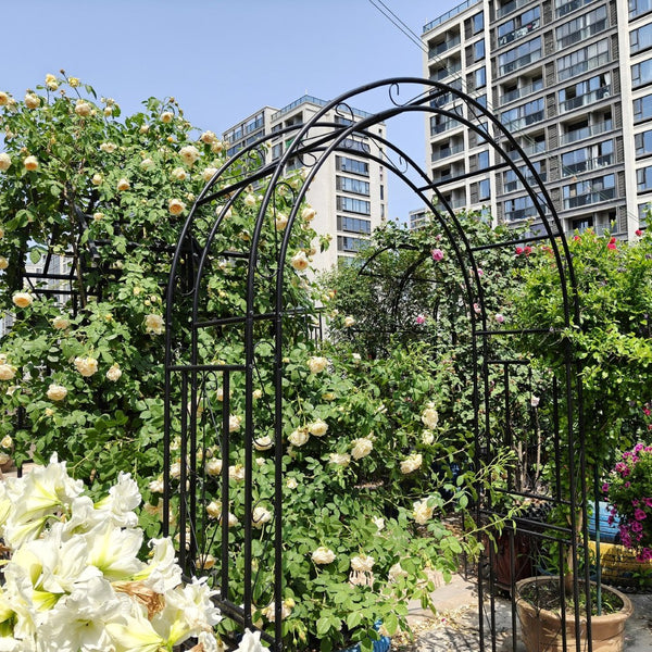 English Elm Metal Garden Arch Powder Coated Steel Frame for Climbing Roses and Pathway Decor W1586P268781