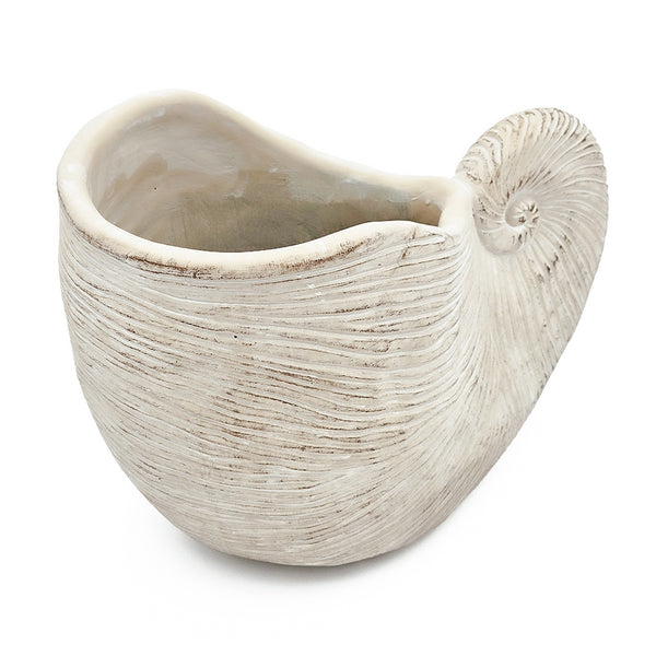 English Elm 11.5x6.7x7.7" Sand and Cement Nautilus Shell Planter — Textured Beige Coastal Accent for Succulents & Herbs W2078P334181