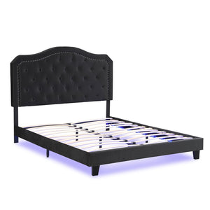 English Elm Upholstered Queen Bed Black Velvet Tufted Headboard with Led Ambient Lighting W311P237227