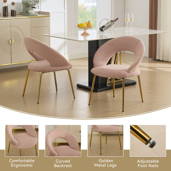 English Elm 061-Set Of 1 Pink Velvet Dining Chair With Curved Backrest & Golden Legs For Modern Spaces W527P255478
