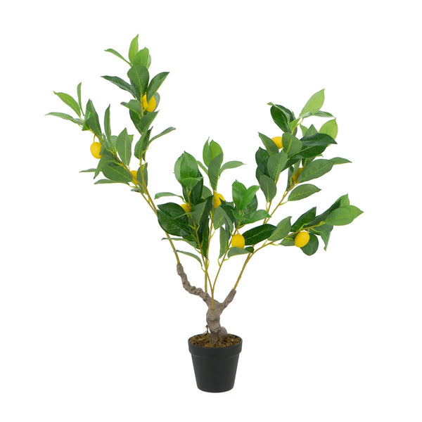English Elm 12x12x31.5"H Artificial PEVA Lemon Tree - Lifelike Green Foliage, UV-Safe, Low-Maintenance Decor, Black Pot W2078P279115