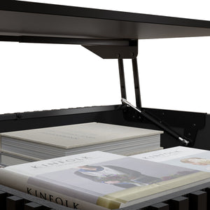 English Elm 31.5 Lift-Top Coffee Table with Hydraulic Raise, Fluted Wood Slats, Hidden Compartment & Shelf Black W1445P355643