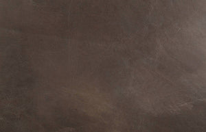 English Elm Betla Top Grain Leather Accent Chair with Sculptural Aluminum Frame for Modern Spaces B2726P457630