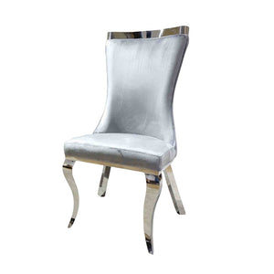 English Elm Glam 2-Piece Side Chair Set With Tiger Print Upholstered Seat And Silver Legs For Stylish Spaces B2741S00729