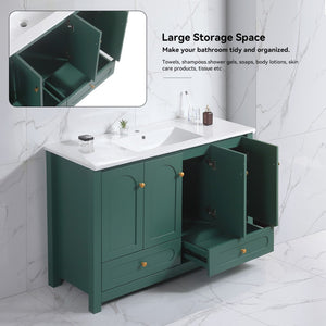 English Elm 48" Sage Bathroom Vanity with Ceramic Sink Mdf Cabinet Soft Close Doors Drawers Green W3133S00001