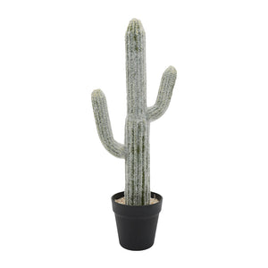 English Elm 8x5x24.5"H Lifelike Saguaro Cactus in Black Pot — Textured Two-Tone Artificial Plant for Low-Light Décor W2078P294239