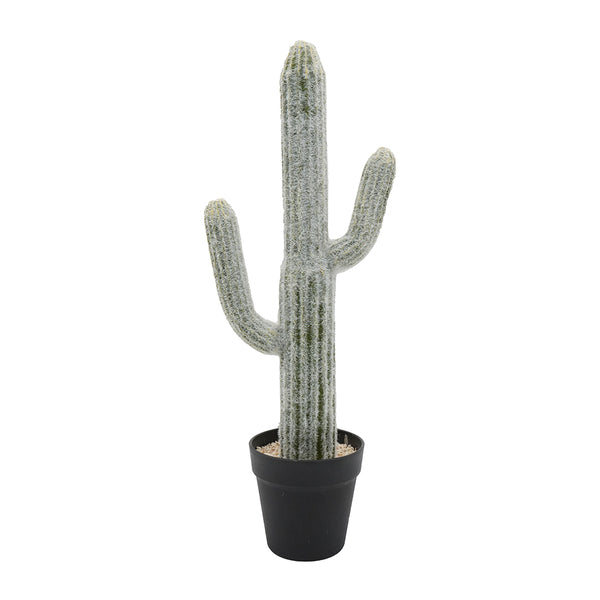 English Elm 8x5x24.5"H Lifelike Saguaro Cactus in Black Pot — Textured Two-Tone Artificial Plant for Low-Light Décor W2078P294239