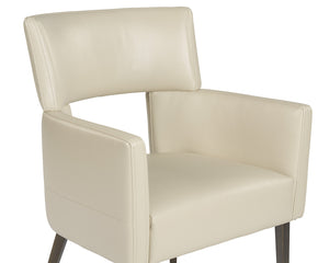Sunpan Amerie Contemporary Dining Armchair with Unique Cutout Design and Antique Brass Legs for Modern Spaces Castillo Cream