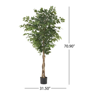 English Elm Christopher Knight Home® - 180CM Artificial Ficus Tree with Glossy Leaves & Twisted Trunk, Pre-Potted Green Décor for Home (90) 70517.00