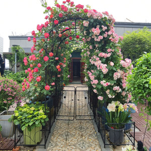 English Elm Metal Garden Arch with Planter Stands Powder Coated Steel Climbing Rose Support W158681135
