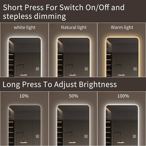 English Elm 65x21in LED Full Body Mirror with Dimming & 3-Color Touch Control, Explosion-Proof Glass, Aluminum Shade W2709P268896