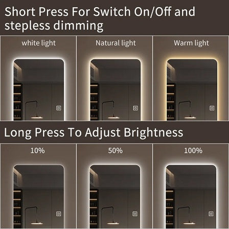 English Elm 65x21in LED Full Body Mirror with Dimming & 3-Color Touch Control, Explosion-Proof Glass, Aluminum Shade W2709P268896