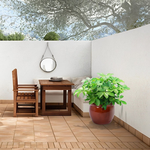 English Elm 3 Pieces Ceramic Flowerpot Set - Handcrafted Modern Planters For Garden, Patio, And Windowsills W3273P321540