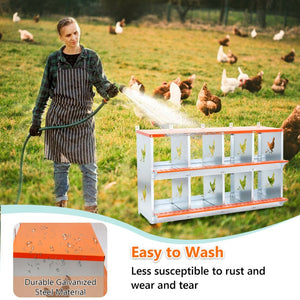 English Elm 8-bay Galvanized Steel Wall Mount Nesting Box for Backyard Hens with Vented Design W1422P355411